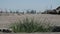 Close up view of grass growing on concrete