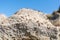 Close-up view of grasshopper/ locust insects sitting on a sunny rock near the summit of Mount Kosciuszko 2228m