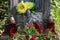 Close up view of a grave full of flowers and lamps