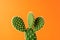 Close-up view of green cactus on bright background. Minimal composition