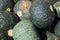 Close up view of green kuri squash