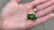 Close-up view of green metallic beetle crawling on human`s hand