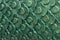Close up view of green scale stone pillar abstract background or texture