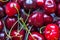 Close up view of group of cherry as background