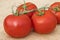 Close up view of a group of fresh ripe healthy Vine Tomatoes