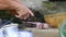 Close up view on hands slicing fish on a wooden board in the dirty outdoor kitchen.