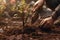 Close-up view of a hands of a young man is planting a flower in his garden.