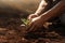 Close-up view of a hands of a young man is planting a flower in his garden.