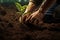 Close-up view of a hands of a young man is planting a flower in his garden.