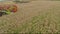 A close-up view of a harvester cutting wheat in a field.