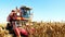 Close up, View of harvesting process of corn field in early autumn. big red combine harvester machine harvesting corn