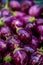 Close up view of a heap of Brinjal on market .The name as called egg fruit, aubergine, Solanum melongena for sale in a vegetable