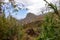 Close up view on a high grass plant with panoramic view on Roque de las Animas crag in the Anaga mountain range, Tenerife, Spain