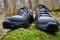 Close Up View of Hiking Boots on Moss Covered Forest Floor