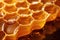 Close up view of honeycomb with honey