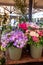 Close up view of hortensia and peonies with chalk boards