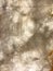 Close up view of illuminated, natural onyx marble