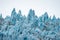 Close up view of the jagged blue ice of Holgate Glacier in Alaska`s Kenai Fjords National Park