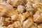 Close up view of Lightning Whelk shells sitting on sand