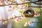 Close-up view of little bird house nest in pink cherry blossom woods in Spring.