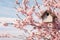 Close-up view of little bird house nest in pink cherry blossom woods in Spring. Spring seasonal concept.