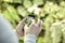 Close-up view man`s hands using a mobile phone, taking photo of trees flowers and scaling on screen.