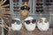 Close up view of mannequins with various fashionable sunglasses in shop