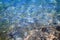 close-up view of the Mediterranean sea with large pebbles on the