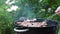 Close up view of men grilling meat steak; sausages and onions outdoors on a summer day.