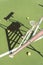 close up view of metal referee chair  tennis racket and balls on green