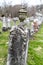 close-up view of moss and algae on the old tombstone grave monument