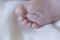 close up view of a newborn baby feet isolated on white