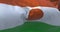 Close-up view of the Niger national flag waving