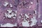 close-up view of old weathered violet wall textured background