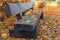 Close-up view of old wooden bench with yellow autumn leaves in the park. Picturesque golden color autumn.