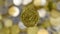 Close-up view of one 20 euro cent coin. This is money. Blurred money background. Eurozone changeable coin with a value of 0.2