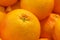 Close up view of a orange Clementines fruits