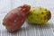 Close up view of pair of red a yellow indian figs also called prickly pear