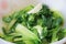 Close up view of Pak Choi in a white plate