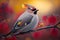 Close-up view of photo realistic colorful Bohemian Waxwing bird