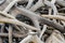 Close up view of a pile of elk antlers