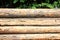 A close-up view of pine logs stacked horizontally and the structure of a tree cut with concentric rings.