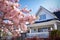 Close-up view of pink cherry blossom flower branch with residential home building in Spring. Spring seasonal concept.