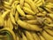 Close up view of plantain or Green Banana pile for sale