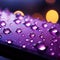 Close up view of raindrops on a window, kissed by purple light