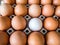 Close-up view of raw chicken. Every egg is a yellow egg, with the exception of white duck eggs.