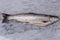 Close up view of raw trout fish on gray background.