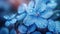 Close-up view of refreshing dew drops adorning the delicate petals of blue hydrangea flowers in soft light
