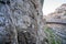 Close-up view of rock in park. Tbilisi, Georgia