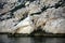 Close-up view of the rocks of the badlands, Parc National des Calanques, Marseille, France